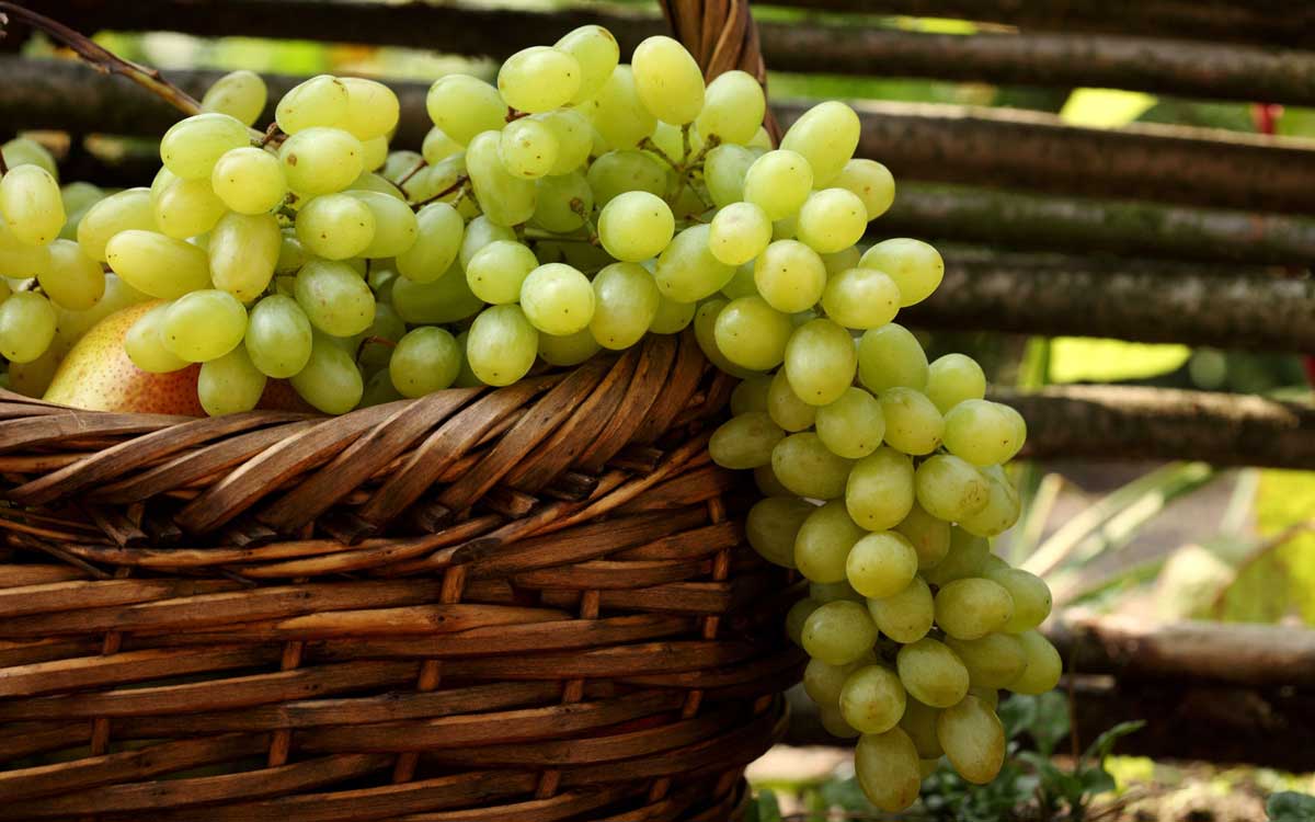green_grapes_in_basket-wide